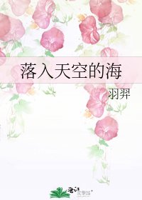 《落入天空的海》