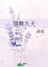 翎舞九天