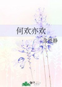 《何欢亦欢》