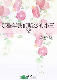 《那些年我们暗恋的小三爷》
