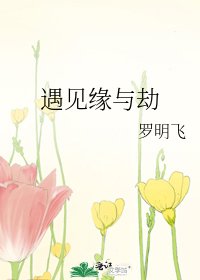 遇见缘与劫