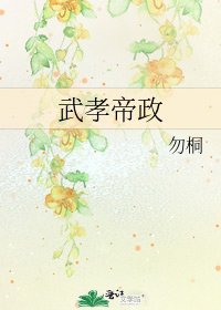 武孝帝政