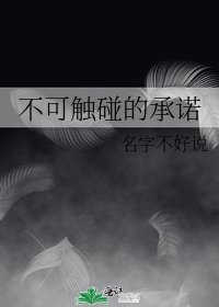 不可触碰的承诺