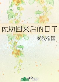 佐助回来后的日子