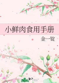 《小鲜肉食用手册》