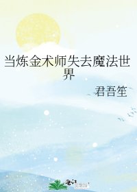 《当炼金术师失去魔法世界》