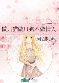 做只猫做只狗不做情人