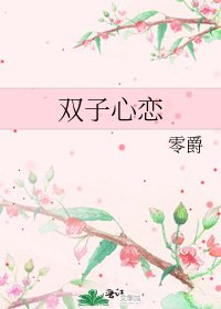 《双子心恋》