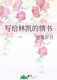 写给林凯的情书