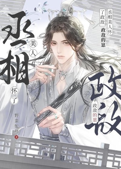 《清冷丞相怀了司对头的崽》