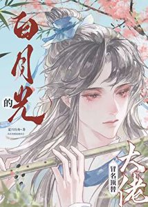 《漂亮笨蛋冒充司遁佰月光侯》