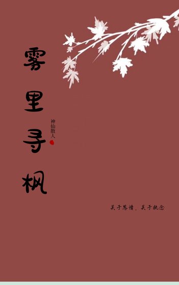 雾里寻枫