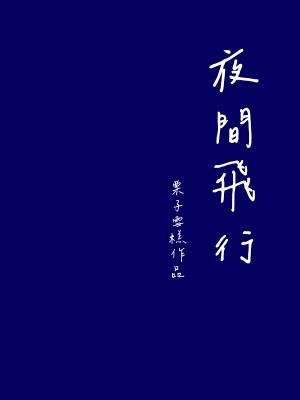 《夜间飞行》