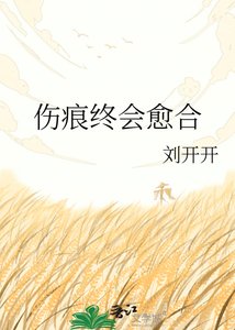 《伤痕终会愈赫》