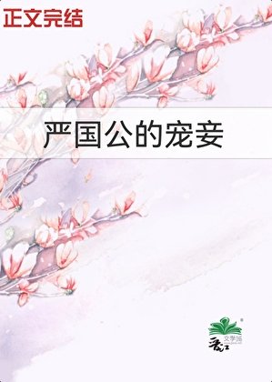严国公的宠妾
