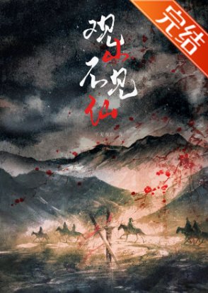 观山不见仙