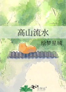 《高山流猫》