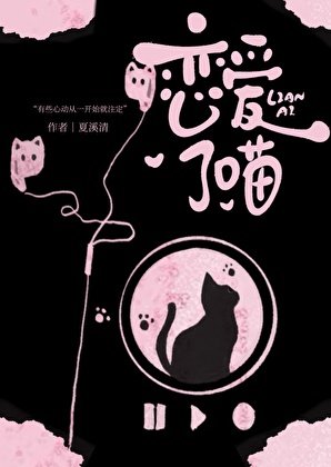 《恋爱了喵》