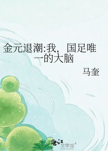 《金元退潮:我,国足唯一的大脑》