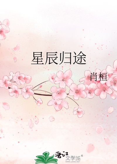 《星辰归途》