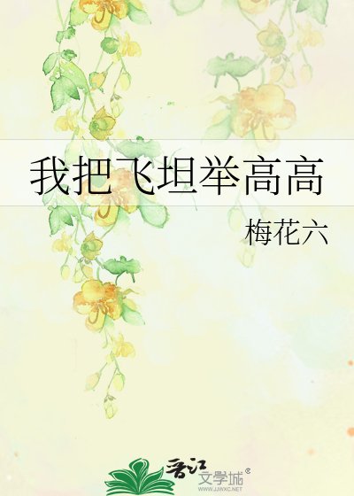 我把飞坦举高高