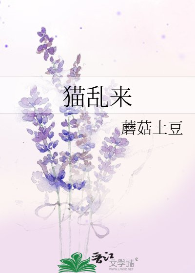 《猫乱来》