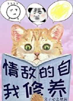 《情敌的自我修养》