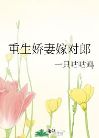 重生娇妻嫁对郎