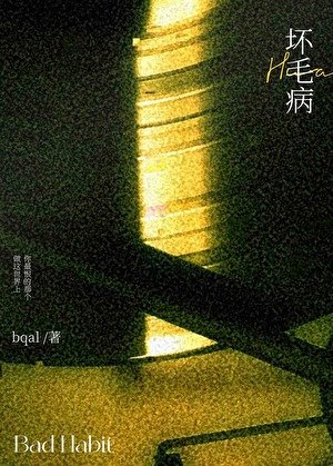 《坏毛病》