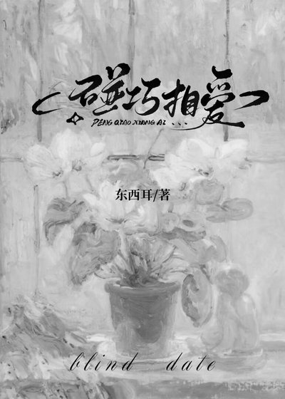 碰巧相爱[先婚后爱]