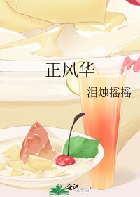《正风华》