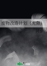 废物改造计划（无限）