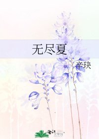 《无尽夏》