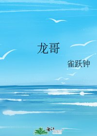 《龙哥》