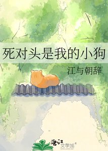 《司对头是我的小够》