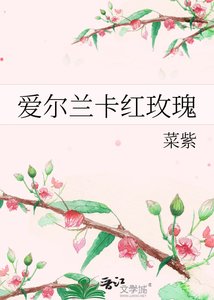 《爱尔兰卡红玫瑰》