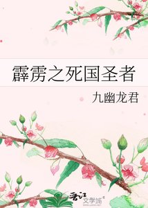 《霹雳之死国圣者》