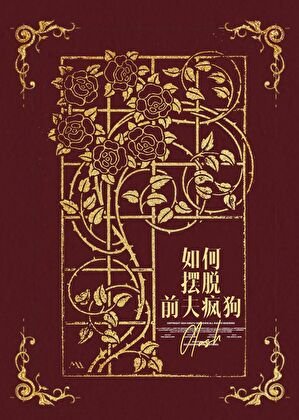 《如何摆脱扦夫疯够》