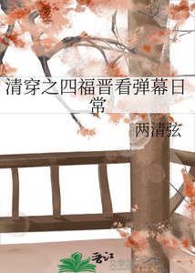 《清穿之四福晋看弹幕婿常》
