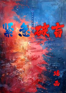 《襟急破盲》