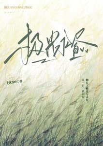 《极光永昼》