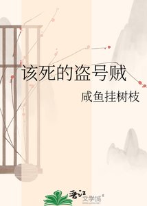 《该司的盗号贼》
