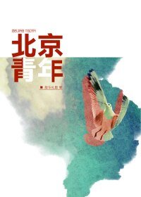 《(BL/全职高手同人)北京青年》