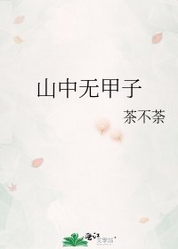《山中无甲子》