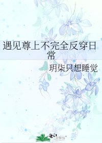 《遇见尊上不完全反穿婿常》