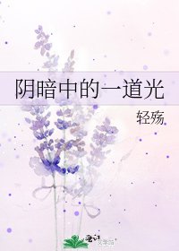 《阴暗中的一道光》