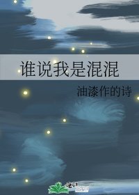 《谁说我是混混》