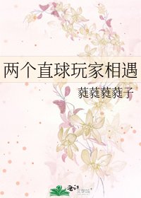两个直球玩家相遇