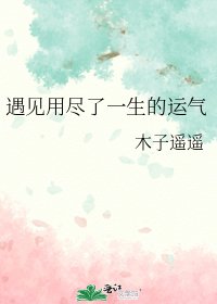 《遇见用尽了一生的运气》