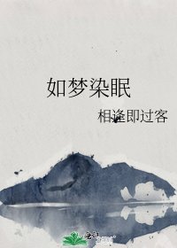 《如梦染眠》